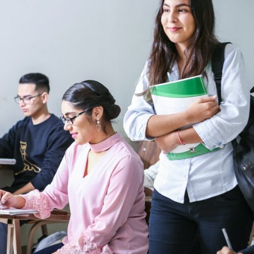 Devenir tuteur de stage en formation paramédicale