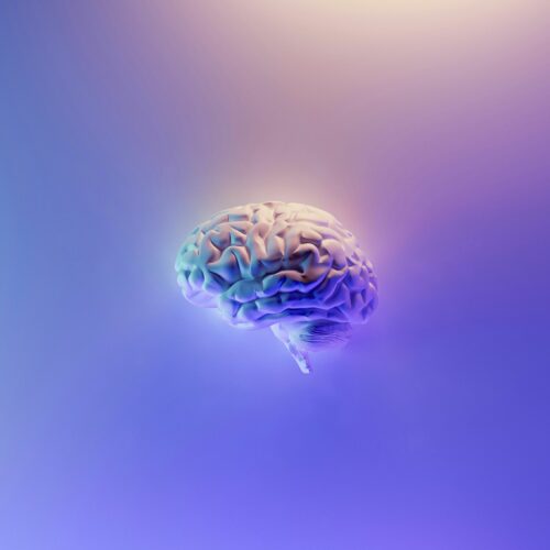 Neurosciences et apprentissages « Les clés d’une formation durable »