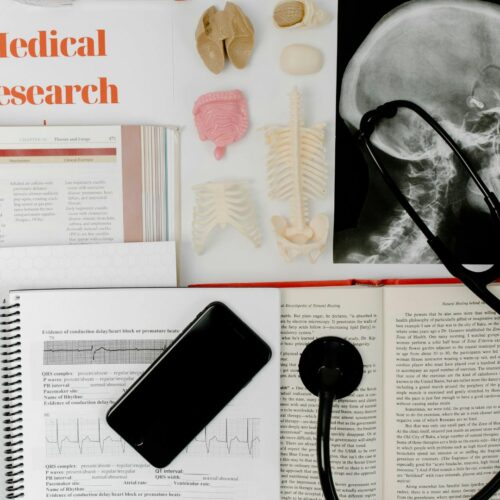 Approche méthodologique et accompagnement à la revue de littérature fondée sur les données probantes